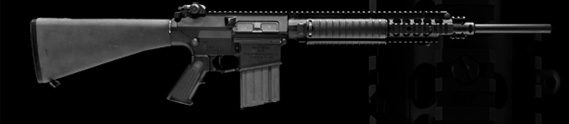 SR25_last_03.jpg