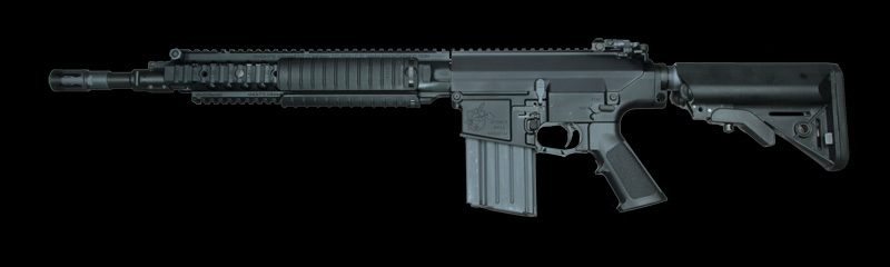 SR25 EM Carbine