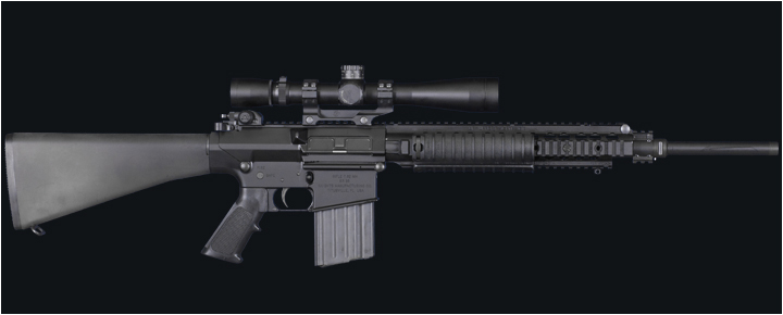 SR-25 ER